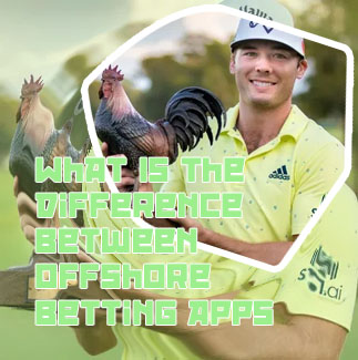 Online betting sites app